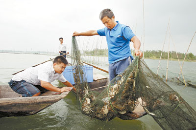 阳澄湖出大水蛇图