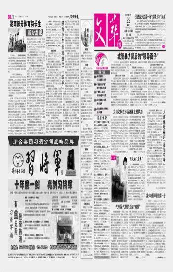 文萃报 2013年第2219期-城管暴力背后