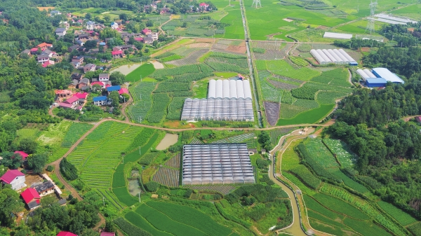 北有寿光，南有永州，打造粤港澳大湾区“大菜园”@湖南日报要闻版头条