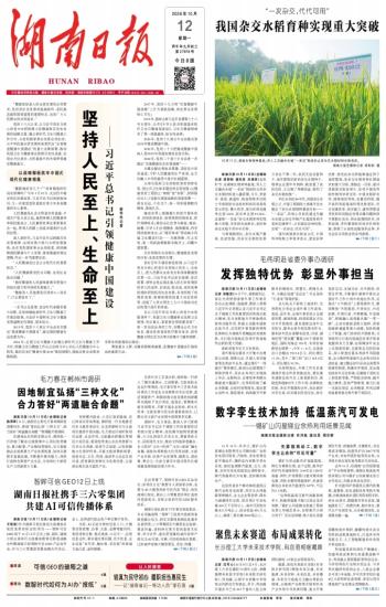 湖南日报