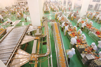 促进食品产业又好又快发展