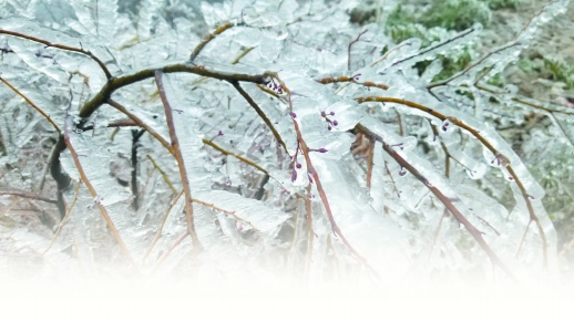 湖南今年首个暴雪预警拉响，警惕冻雨和积雪致灾- 今日关注- 湖南在线