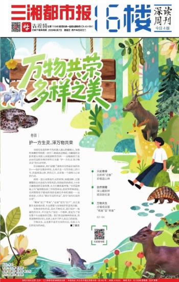 三湘都市报