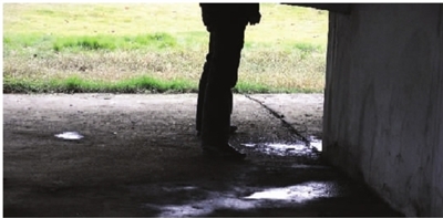 猴子石大桥下绿化带成了露天厕所